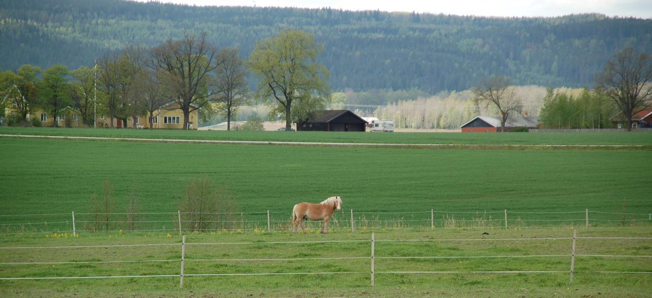 Vallby Farm Camp Orebro Bagian luar foto